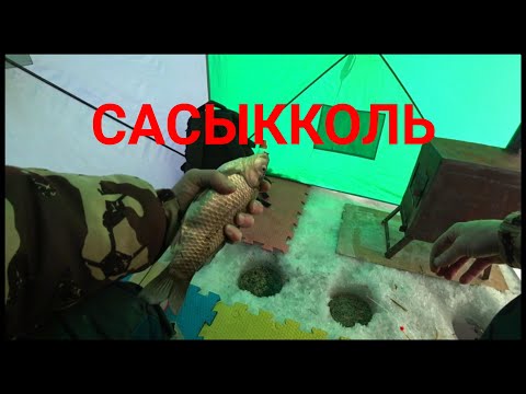 Видео: Рыбалка. Щедрый Сасыкколь.
