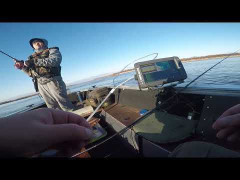 Видео: Осенний джиг на Вычегде с Михой