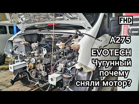 Видео: Evotech А275 ,чугунный блок, болячки мотора, снимаем двигатель. (Газель Next 2020г)