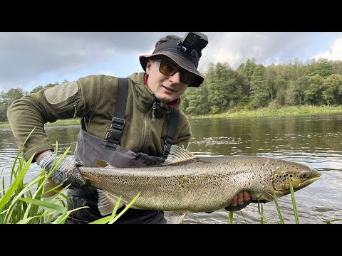 Видео: Лосось 2022 Нерис