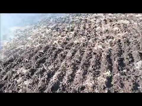 Видео: Дисковая борона Агл-8 (аналог Rubin-9 Lemken) ОТЕЧЕСТВЕННОЕ ПРОИЗВОДСТВО!!!