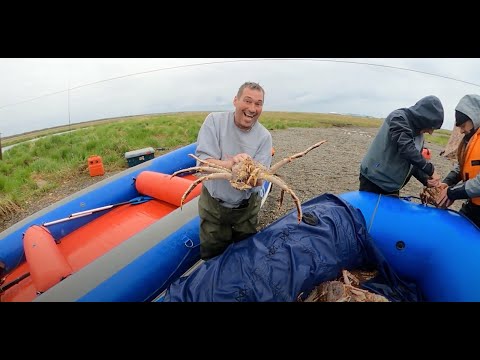 Видео: Камчатка: Вертолетный тур и улов трофейной чавычи на реке Коль!