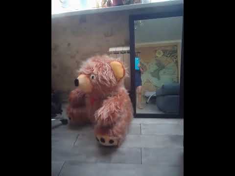 Видео: У нас большой дом или нет?