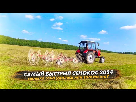 Видео: Сенокос 2024 завершен! Сколько сена заготовили, хватит ли нам сена на зиму?