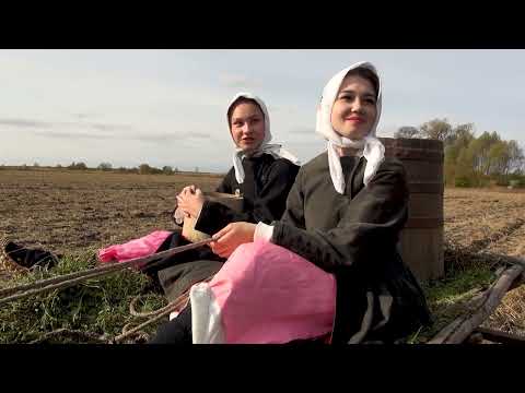 Видео: Реконструкция осеннего сева и пахоты. 2023 г.