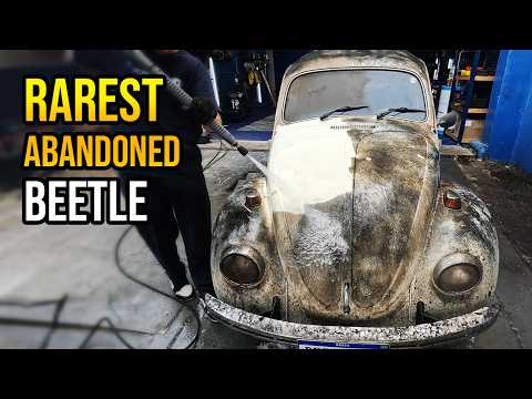 Видео: ЭТО САМЫЙ ИЗВЕСТНЫЙ ЖУК В МИРЕ! МОЙКА АВТОМОБИЛЕЙ