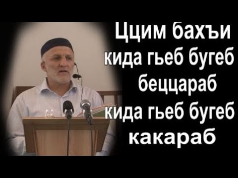 Видео: Рузманалда ваг1за 02 08 2024