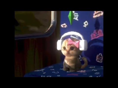 Видео: [𝗣𝗹𝗮𝘆𝗹𝗶𝘀𝘁] Настоящие хипстеры называют себя хомяками.