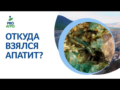 Видео: Откуда взялся Апатит?