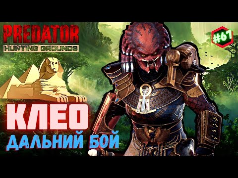 Видео: Predator Hunting Grounds ➤ КЛЕО ➤ ОХОТА #67 #predator