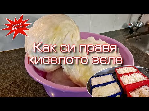 Видео: Правите ли кисело зеле? - Вижте аз как го правя!