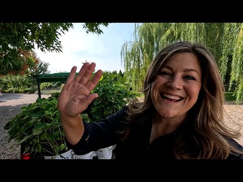 Видео: Посадка красивых растений и органическое удобрение газона 🌸🚜🌱 // Garden Answer