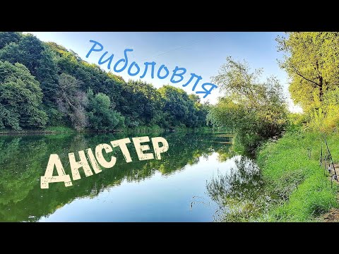 Видео: Дністер. Риболовля з ночівлею. Напали шершні !