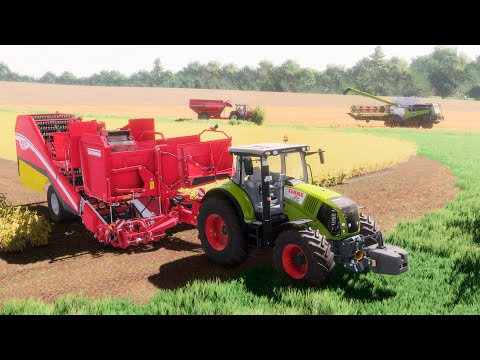 Видео: FS22 /Карта HORSCH AgroVation /#56 Уборка сорго 10Га, начало уборки картофеля Lexion 8900, Axion 850
