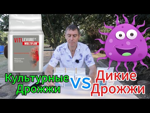 Видео: Лучшие дрожжи для виноделия! Как выбрать ?