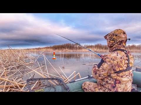 Видео: ВЗЯЛ ТРОФЕЙ НА ПОПЛАВОК! ВОТ ЭТО ОТКРЫТИЕ СЕЗОНА! Сазан, карась, плотва! Рыбалка на поплавок.