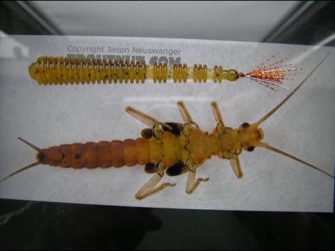 Видео: Покраска силиконовой приманки в стиле - Насекомое)