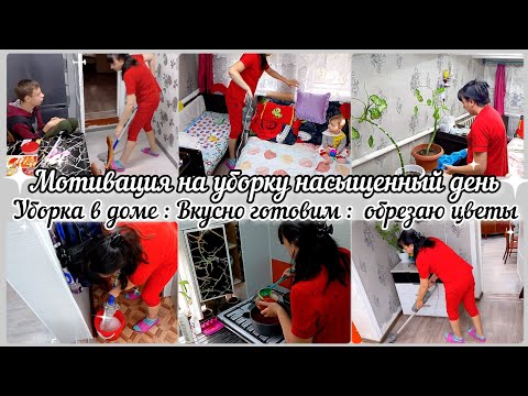 Видео: Мотивация на уборку// Насыщенный день// Уборка в доме//Вкусно готовим//Обрезаю Диффенбахию.