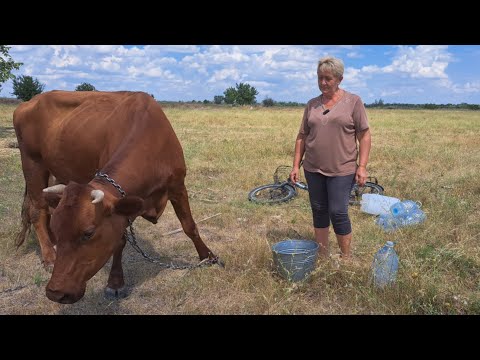Видео: Ну и тварь! Узнаю дам по роже