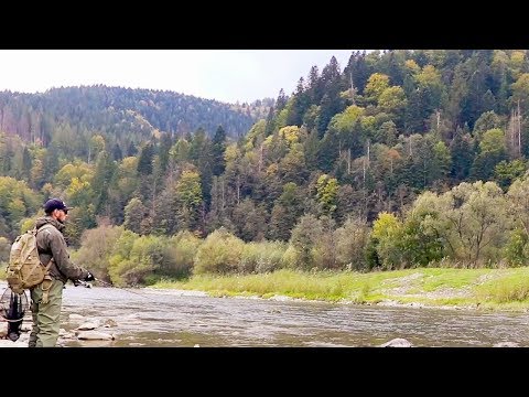 Видео: Ловлю много форели на блесна с Aliexpress
