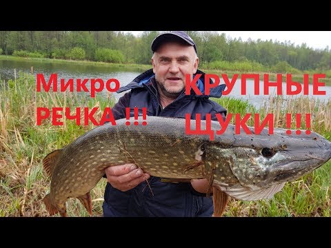 Видео: Моя Самая Неудачная Рыбалка в Жизни! Крупные Щуки Малой Реки!