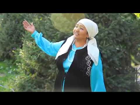 Видео: 14 сентября 2025 г.