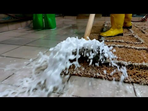 Видео: Невероятно залипательная стирка ковра с длинным ворсом / Amazing long pile rug washing