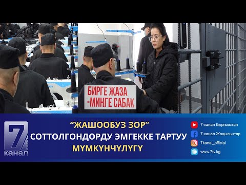 Видео: “ЖАШООБУЗ ЗОР”- СОТТОЛГОНДОРДУ ЭМГЕККЕ ТАРТУУ МҮМКҮНЧҮЛҮГҮ//ЖАЛАЛ-АБАДДА