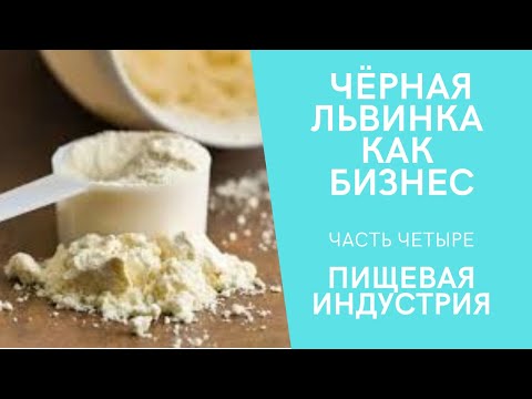 Видео: Чёрная львинка как бизнес. Часть четыре. Пищевая индустрия.