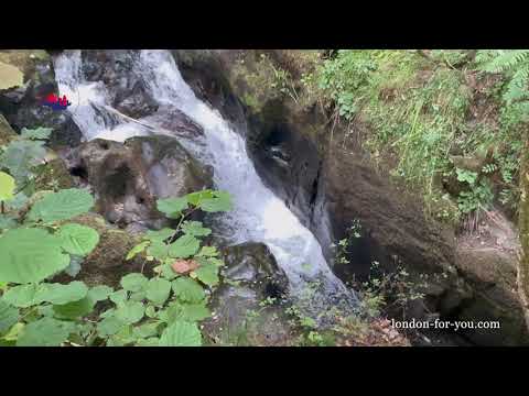 Видео: 1766 Водопад Aira Force Waterfall