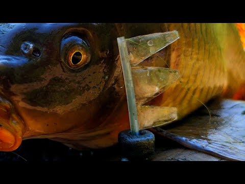 Видео: Снасть Будущего из прошлого !!! Наши Деды так ловили МЕШКАМИ Рыбу !!!
