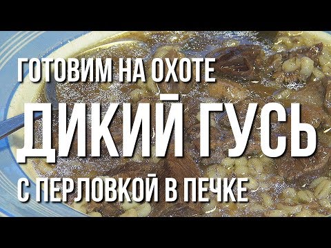 Видео: Готовим на охоте. Дикий гусь с перловкой в печке.