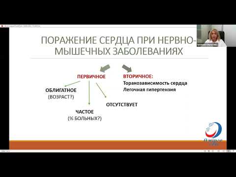 Видео: Лекция № 3