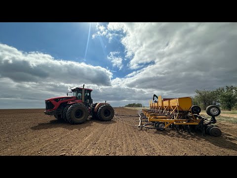 Видео: Озимая пшеница 2026. Поехали! 