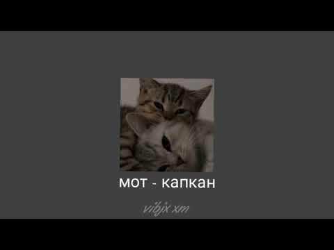 Видео: мот - капкан //speed up