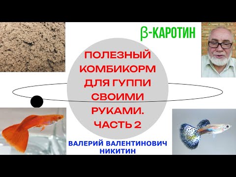 Видео: Полезный комбикорм для гуппи. Бета-каротин. Часть 2