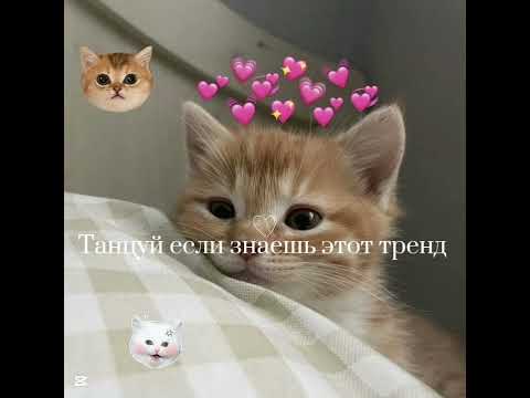 Видео: 22 сентября 2025 г.