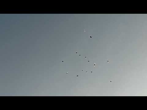 Видео: БАКИНЦЫ И УФИМСКИЕ СПАРТАКИ В НЕБЕ.