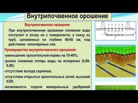 Видео: СПОСОБЫ ОРОШЕНИЯ И ТЕХНИКА ПОЛИВА