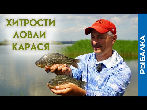 Видео: Хитрости ловли карася на фидер