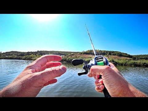 Видео: КОРОТЫШ ДЛЯ ТВИЧИНГА! Мой новый спиннинг - Sportex Magnific Finesse MG1912