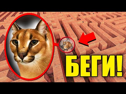 Видео: ЕСЛИ УВИДИШЬ ЭТОГО СТРАШНОГО ШЛЁПУ В ЛАБИРИНТЕ, СРОЧНО БЕГИ! УГАР И БЕЗУМИЕ В Garry`s Mod