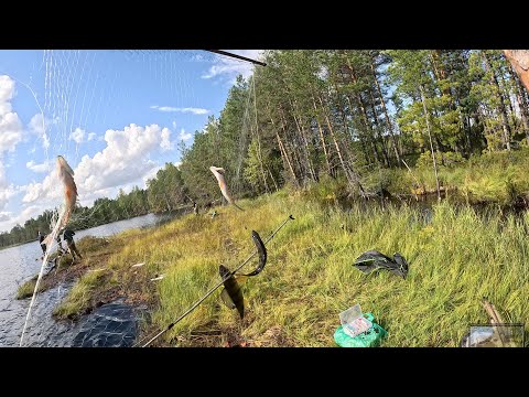Видео: ОТДЫХ В ТАЁЖНОЙ ДЕРЕВНЕ. РЫБАЛКА, СТРОИТЕЛЬСТВО СПАЛЬНЫХ МЕСТ НА УЧАСТКЕ. ЖДЕМ БЕЛЫЙ ГРИБ
