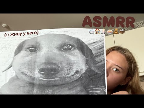 Видео: уютный асмр на кухне!! / самый комфортный комфорт из возможного комфорта 🧖🏼‍♀️🎀