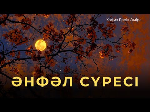 Видео: Еркіндік сезімін сыйлайды - Хафиз Ерсін Әміре