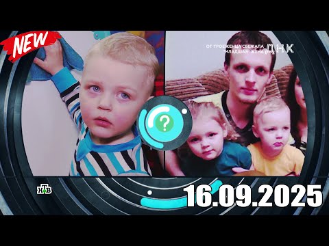 Видео: ДНК . Выпуск от 16.09.2025 - «От троеженца сбежала „младшая“ жена»  - Передачи НТВ - ДНК 2025