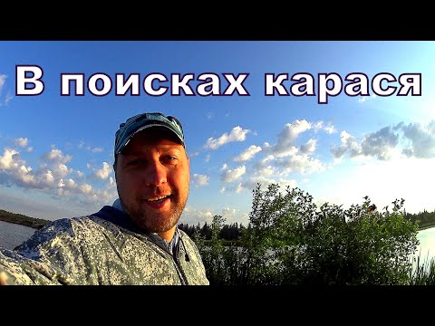 Видео: Ловля карасей на донную снасть в рыбхозе "РАКОВО"