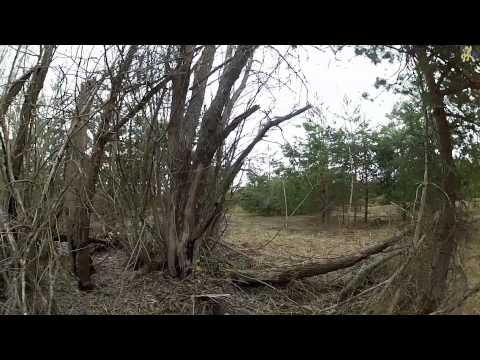 Видео: По родным местам. Локнянский район.