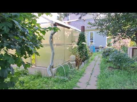 Видео: 2 ч. Скоро конец Июля месяца. Любимая деревня. Хорошее лето. +27 С° . На даче.
