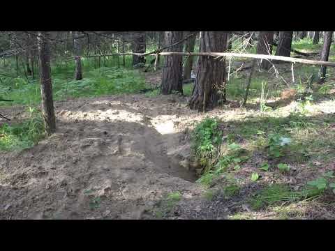 Видео: Подготовка к охоте на барсука. Удачная находка и неприятное открытие.